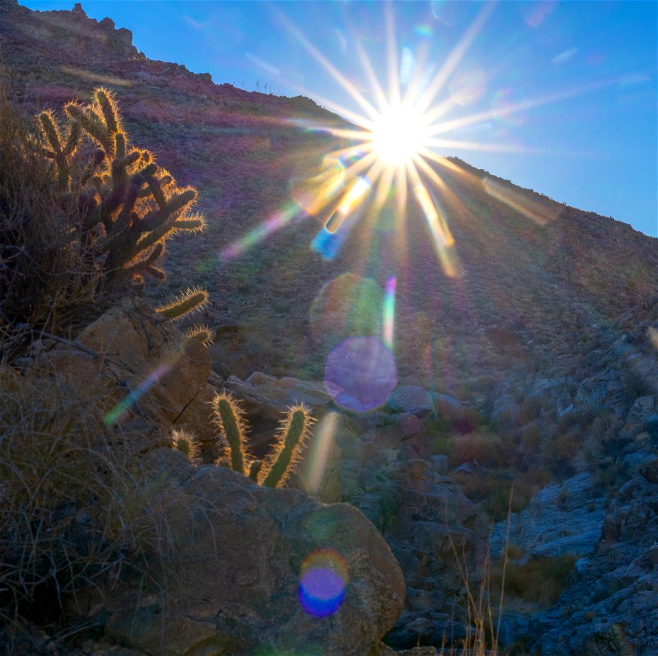 Santa Rosa San Jacinto Mountains National Monument