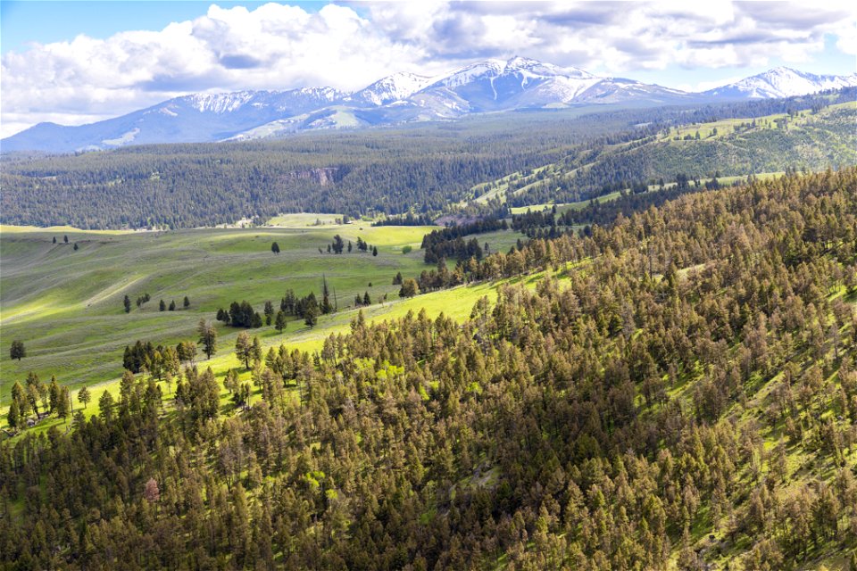 Yellowstone flood event 2022: Tower Ranger Station and Mt. Washburn