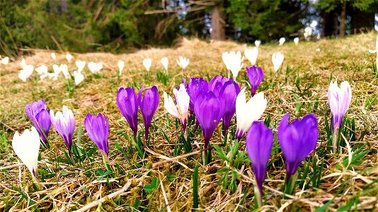 IMG_20220414_182221