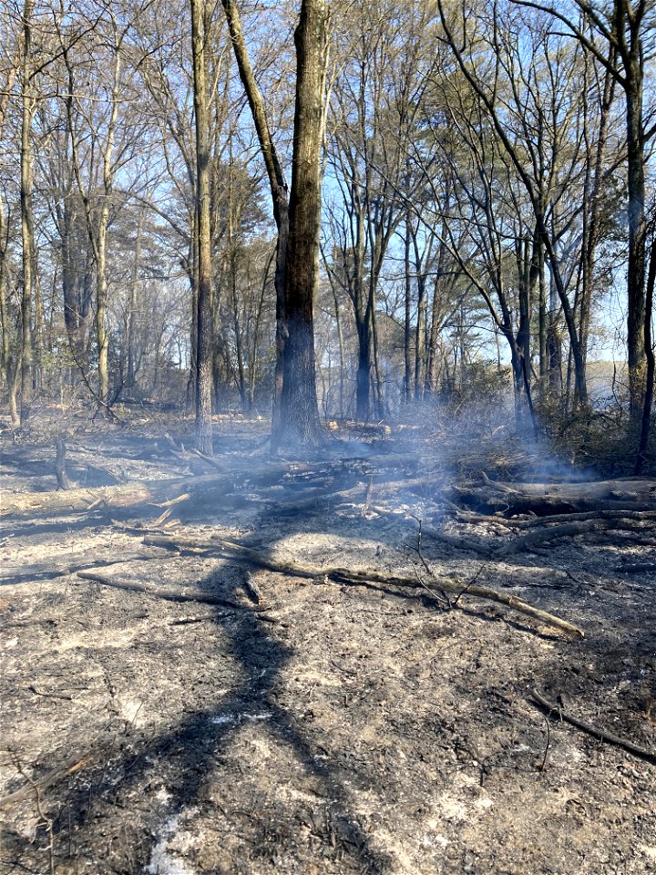 2021 USFWS Fire Employee Photo Contest Category: Landscape and Fire