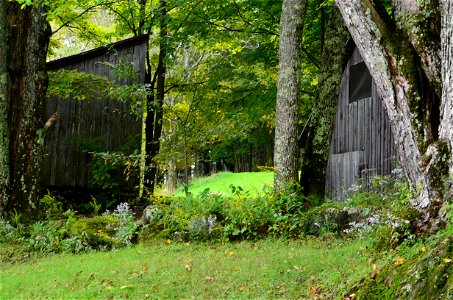 Wood Shed photo