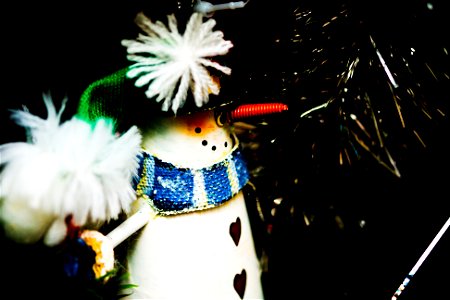 Tardis, the jolly snowman photo