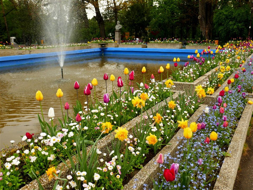 Herestrau Park in spring (117)