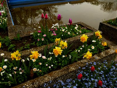 Herestrau Park in spring (85)