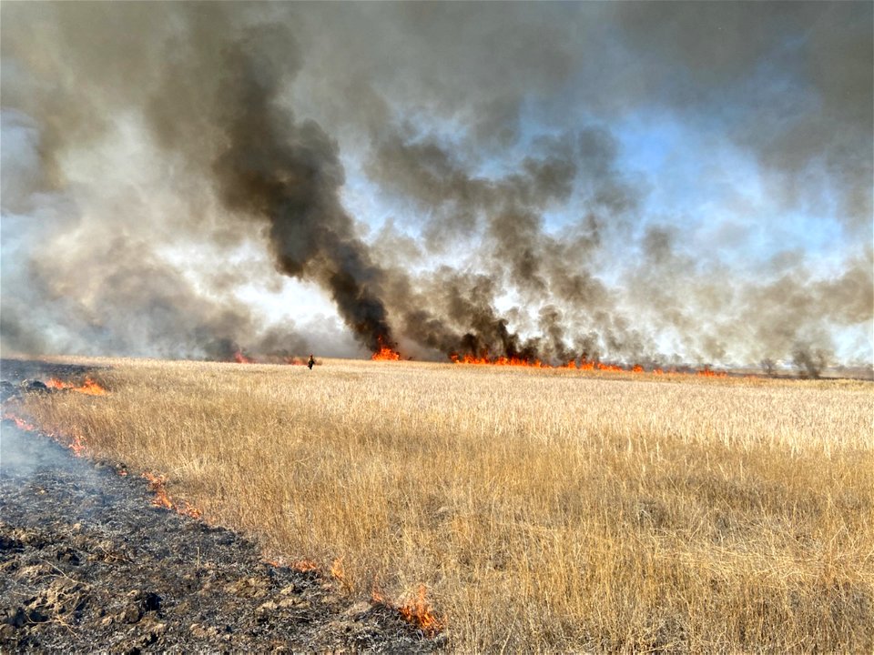 2021 BLM Fire Employee Photo Contest Category: Fire Personnel