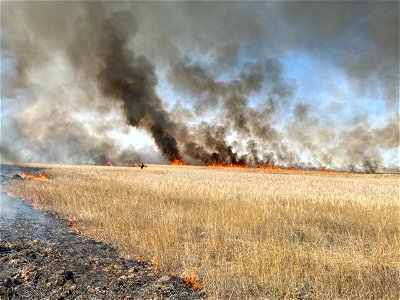 2021 BLM Fire Employee Photo Contest Category: Fire Personnel photo