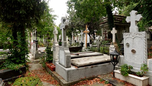 DSC06607