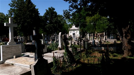 Bellu_cemetery (28)