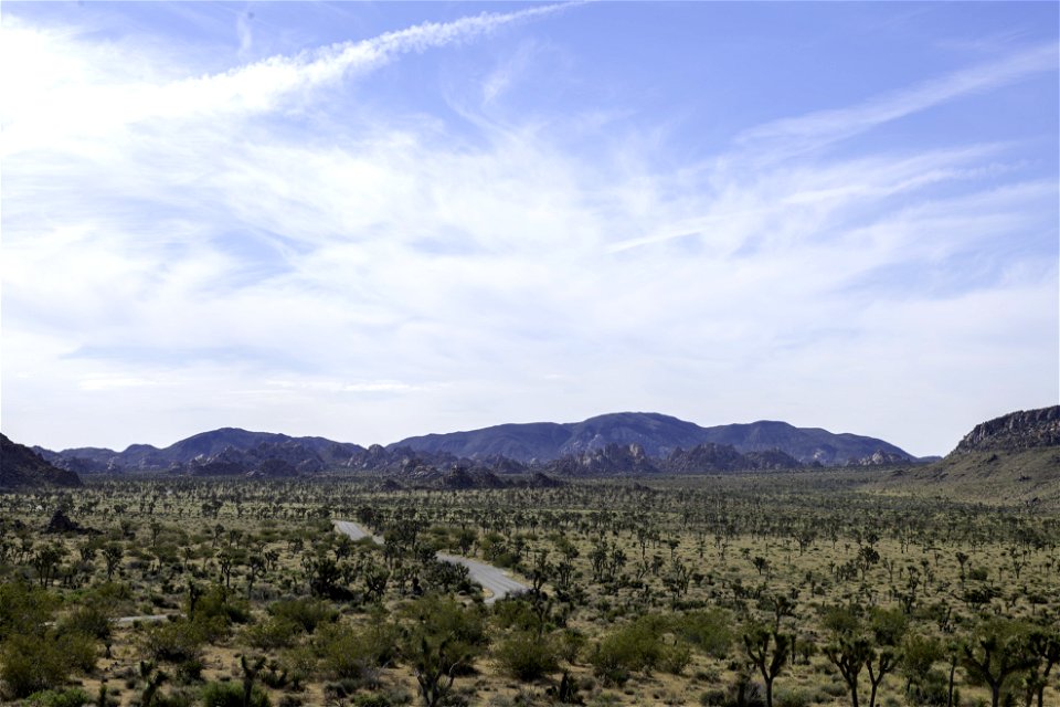 View of Lost Horse Valley and Park Boulevard