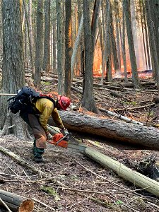 Sand Mountain Fire photo