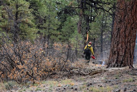 Ray Mesa Prescribed Burn Fall 2021