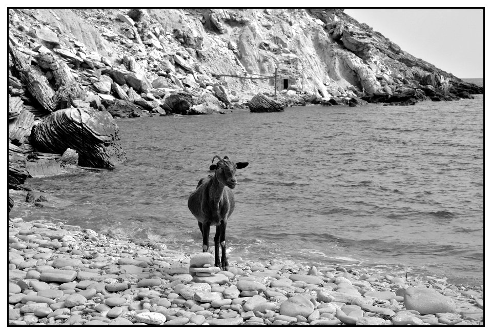 Cala Boquer photo