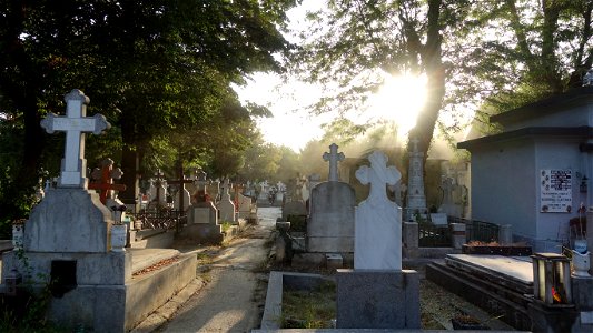 SfVineri_cemetery2021_0728_063522