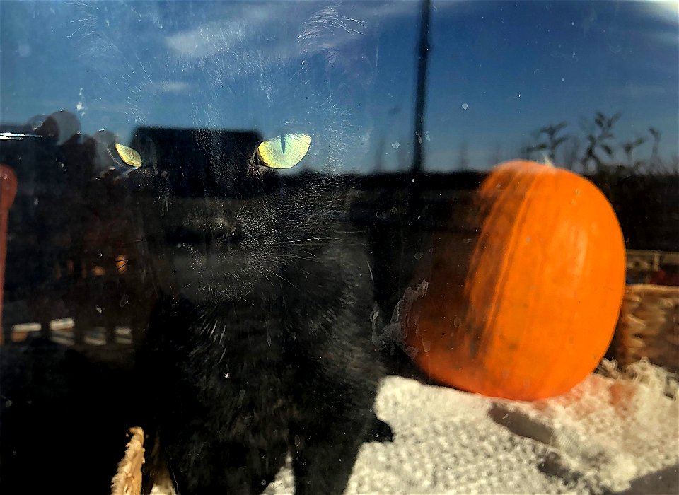 2021/365/306 Floating Eyes