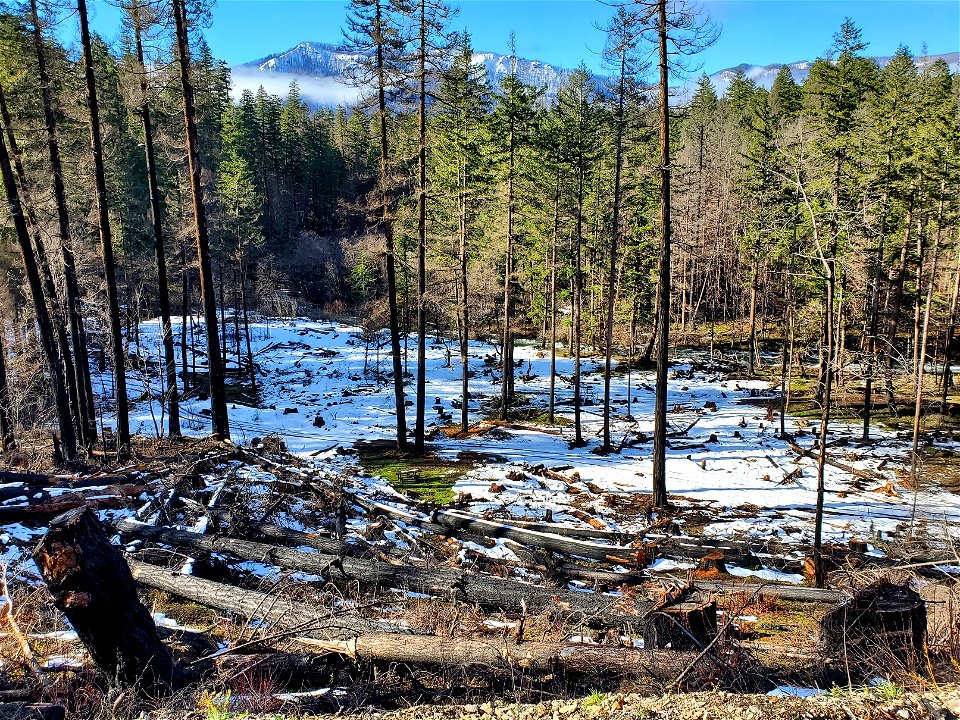 Rainbow Campground, Mt. Hood National Forest