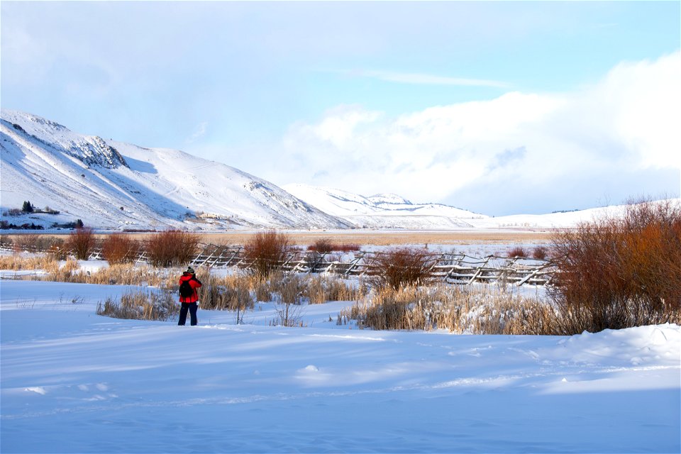 Photographer on the National Elk Refuge