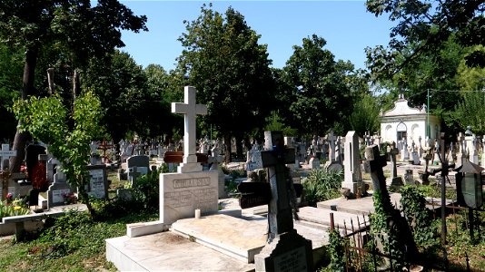 Bellu_cemetery (20)