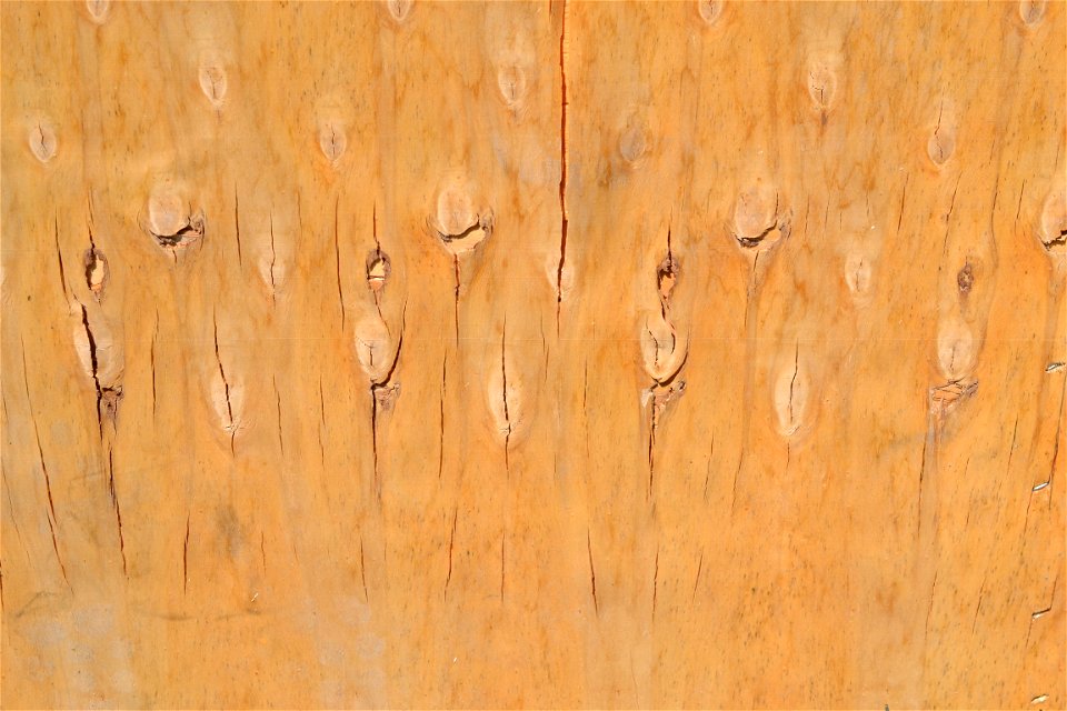 Texture