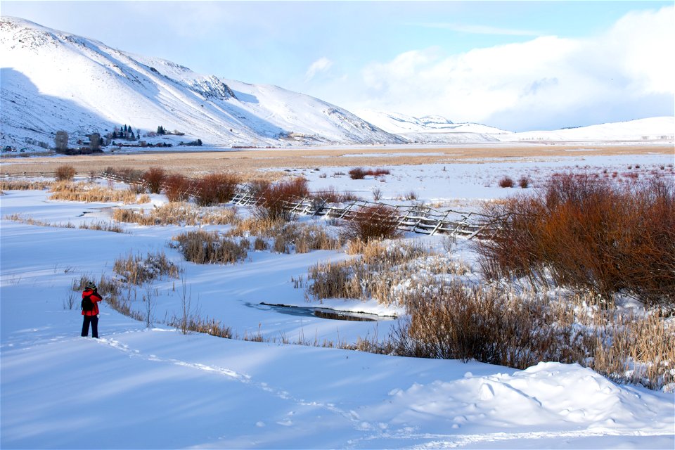 Photographer on the National Elk Refuge