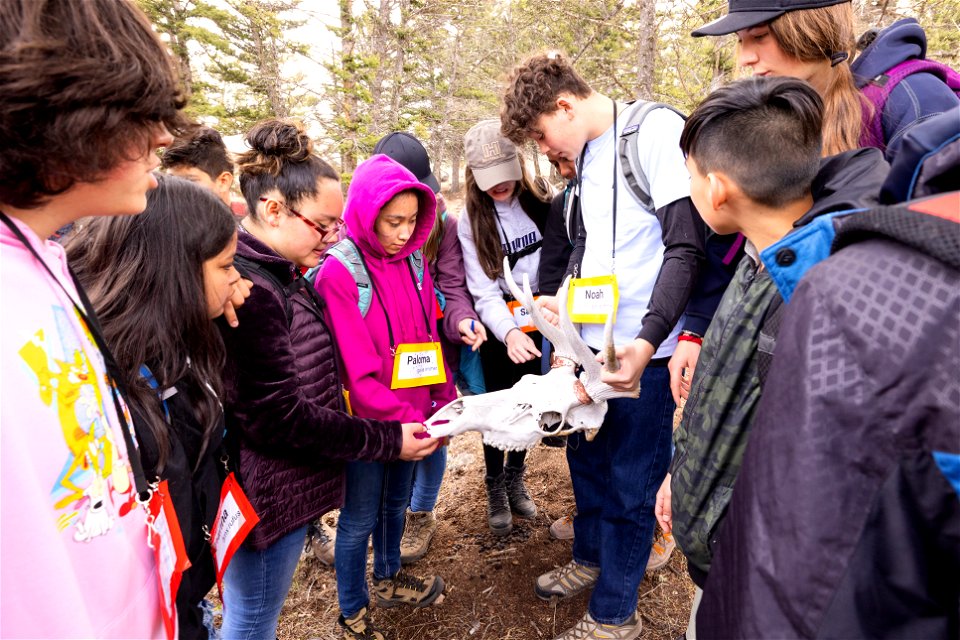 Expedition Yellowstone group checking out an elk skull