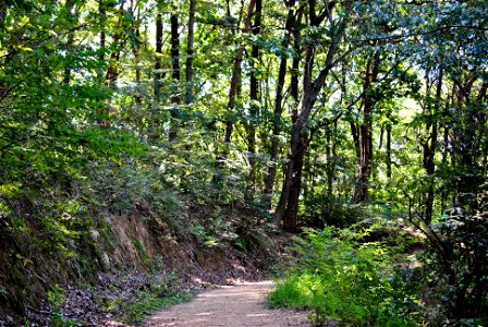 Teajosan Mountain Hiking
