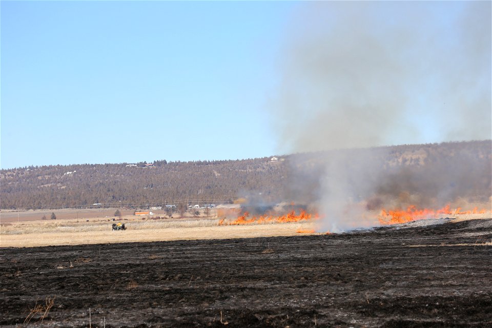 Prescribed burn at Modoc National Wildlife Refuge