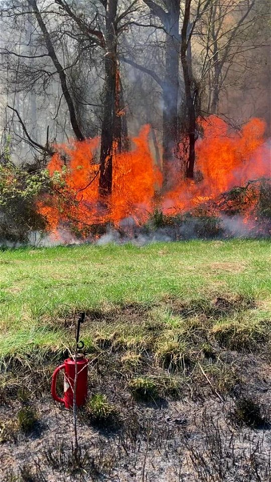 2021 USFWS Fire Employee Photo Contest Category: Video