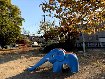 Tsubaki Park in Maesawa, Higashikurume-shi in November