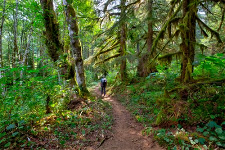PNTA-Swift Creek-Mount Baker-17
