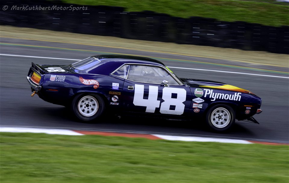 MCP_6229-2