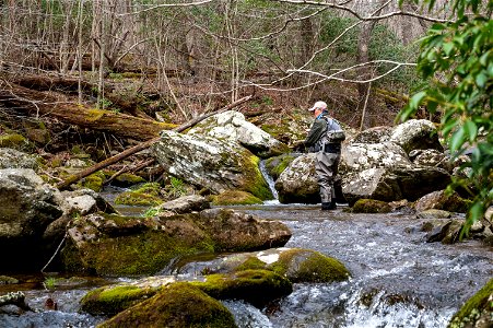 Project Healing Waters