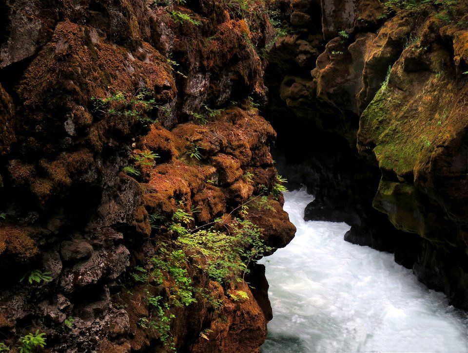 3006 - ROGUE RIVER GORGE (8-5-2021) upper rogue river, jackson co, or -01