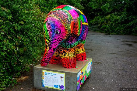 https://elmermaidstone.co.uk/