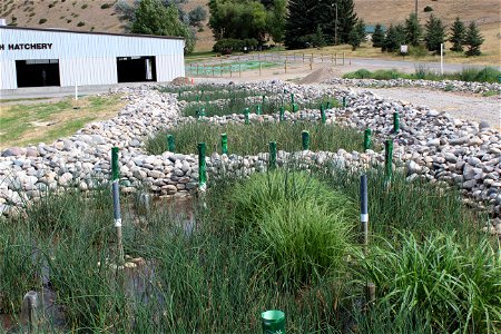 Vertical Wetland Effluent system