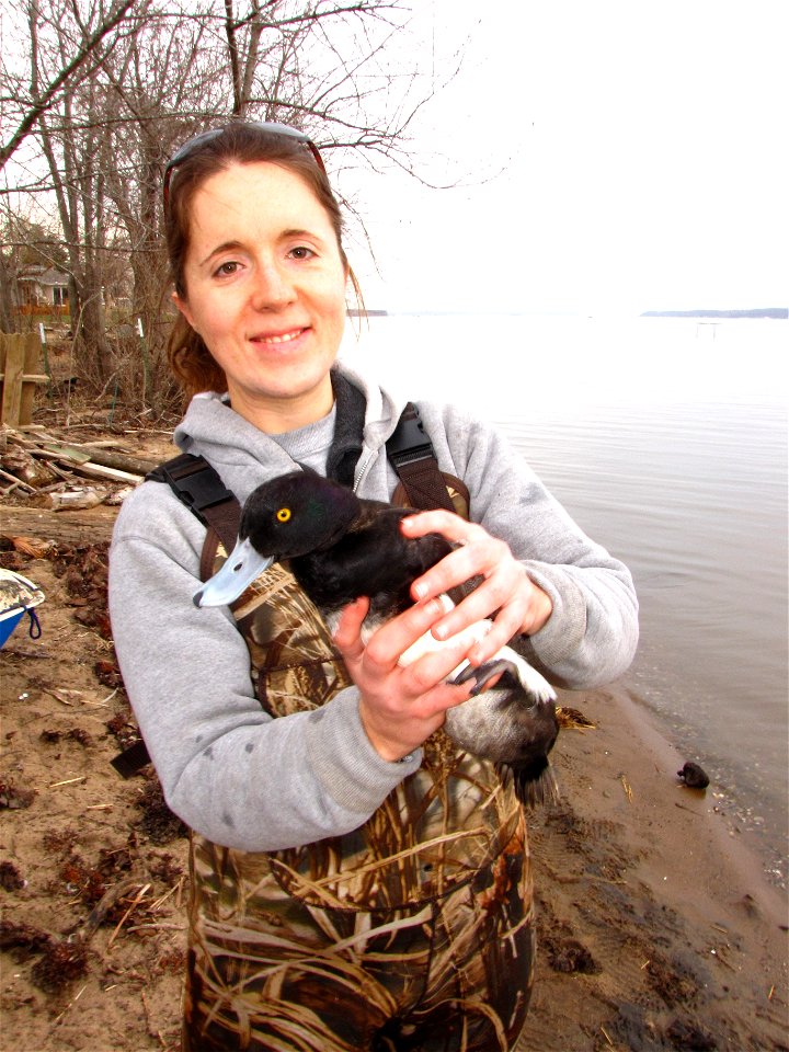 Port Louisa NWR Wildlife Biologist Jessica Bolser photo