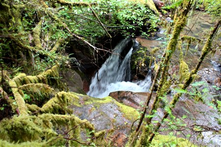 img_1510_top-of-fallsjpg_49364646267_o
