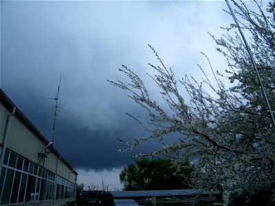 corcod-nor2011_0414_152418