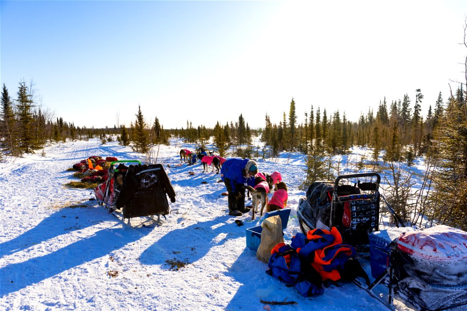 Kobuk 440 racers at Paniqsigvik shelter cabin.