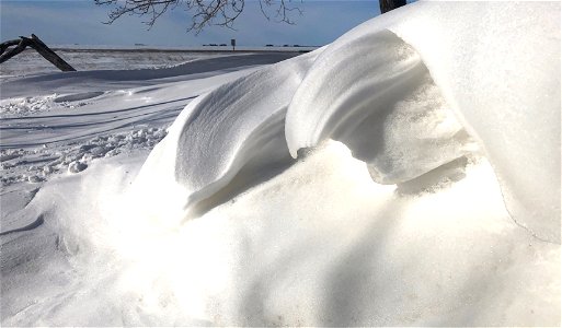 Snow Wave 2023 photo