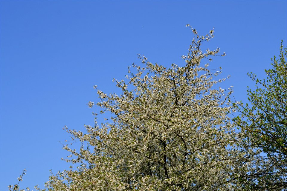 Spring ,April 2023