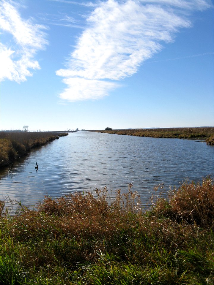Delegates view of ditch remaining from historical marsh dredging