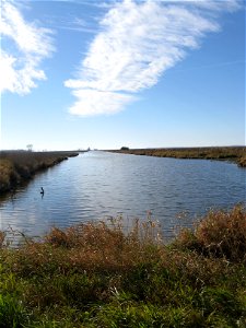 Delegates view of ditch remaining from historical marsh dredging photo