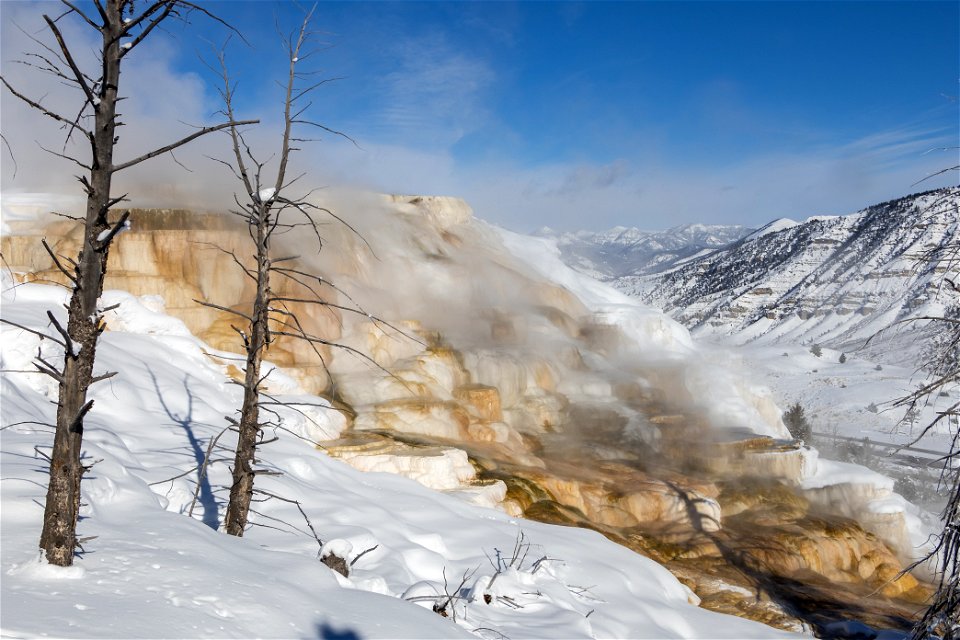 Steamy, winter morning at Canary Spring