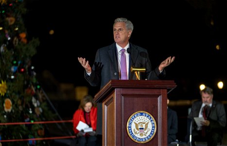 CapitolXmasTreeLighting-WashingtonDC-032 photo