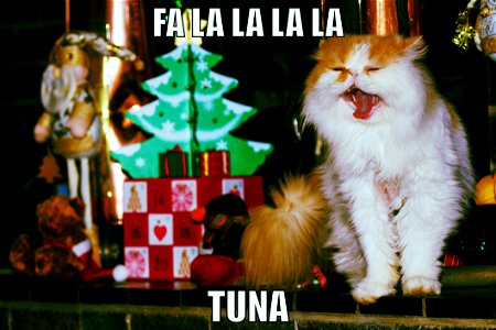 Fa la la la la tuna photo