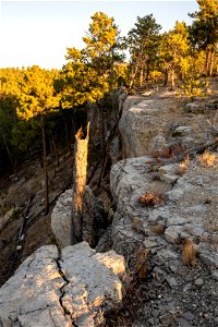 Rocky cliff with trees photo