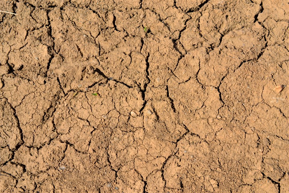 Free textures with cracks