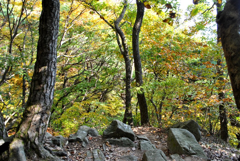 Deoksungsan Mountain