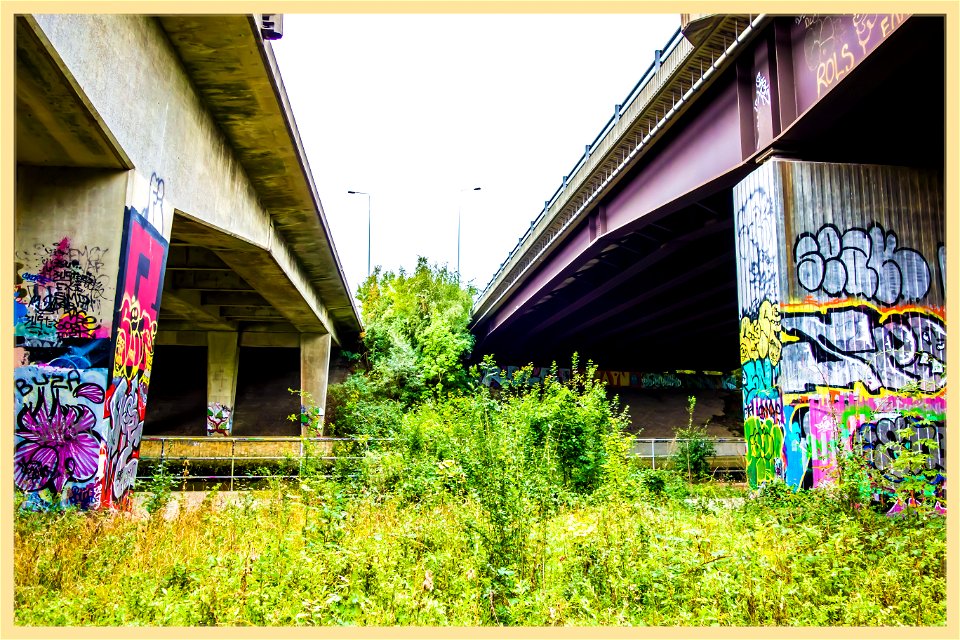 Underneath the freeway