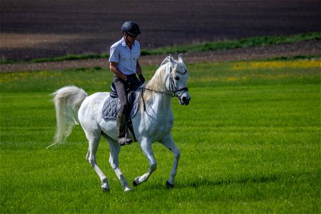 4-Dschesim_OS224083